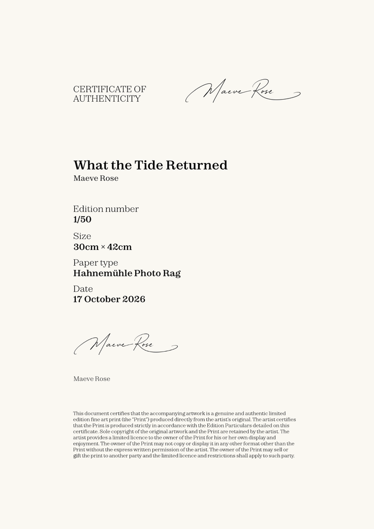 What the Tide Returned — Certificate of Authenticity
